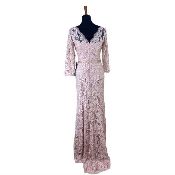 Adrianna Papell Blush Lace Gown - Picture 5 of 6